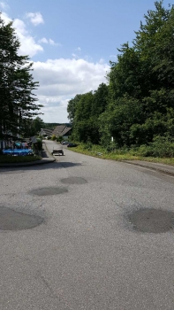 Miete Wildkrautbürste Moosentferner Tagesmietpreis